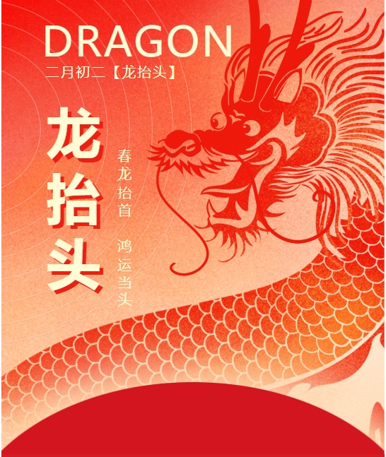 二月二龍?zhí)ь^，春龍振翅鴻運啟 —— 佳木斯網(wǎng)云信息科技有限公司與您共迎新春盛景